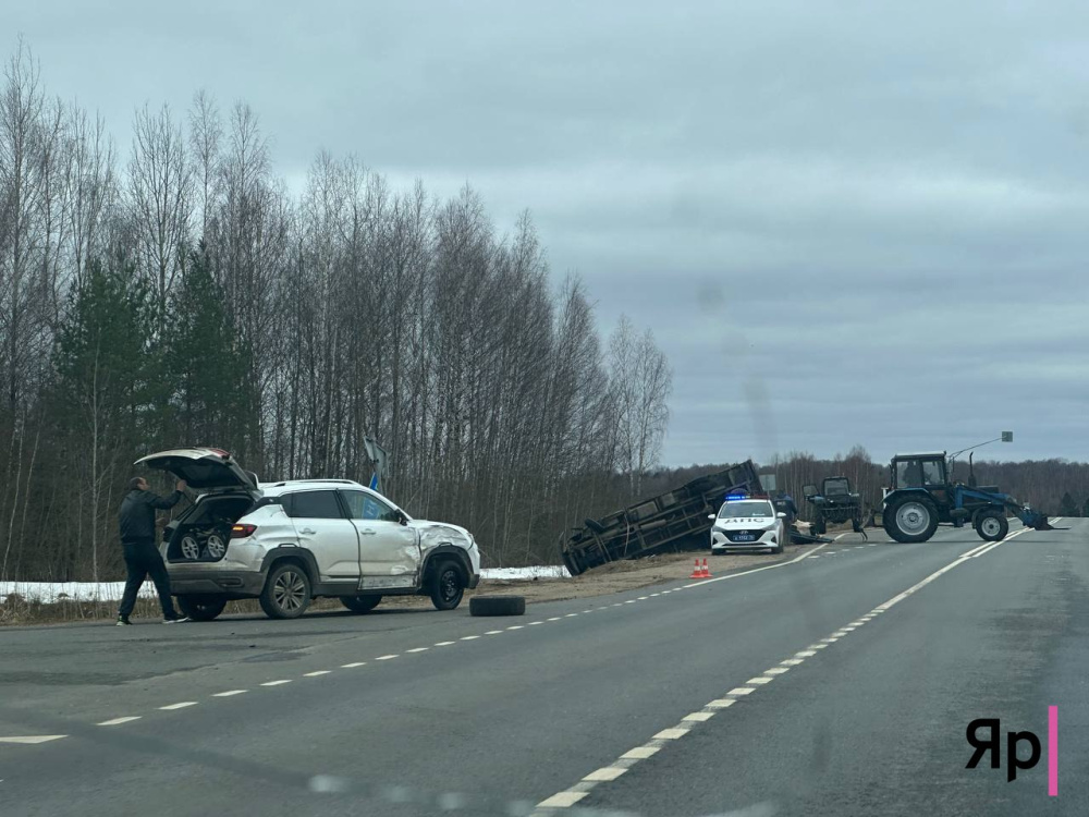 Животные погибли: в Ярославской области опрокинулся фургон, перевозивший коров