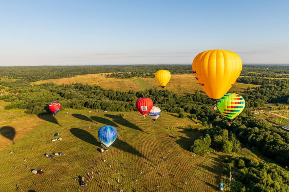 В Ярославской области хотят организовать один из самых масштабных и зрелищных фестивалей в России