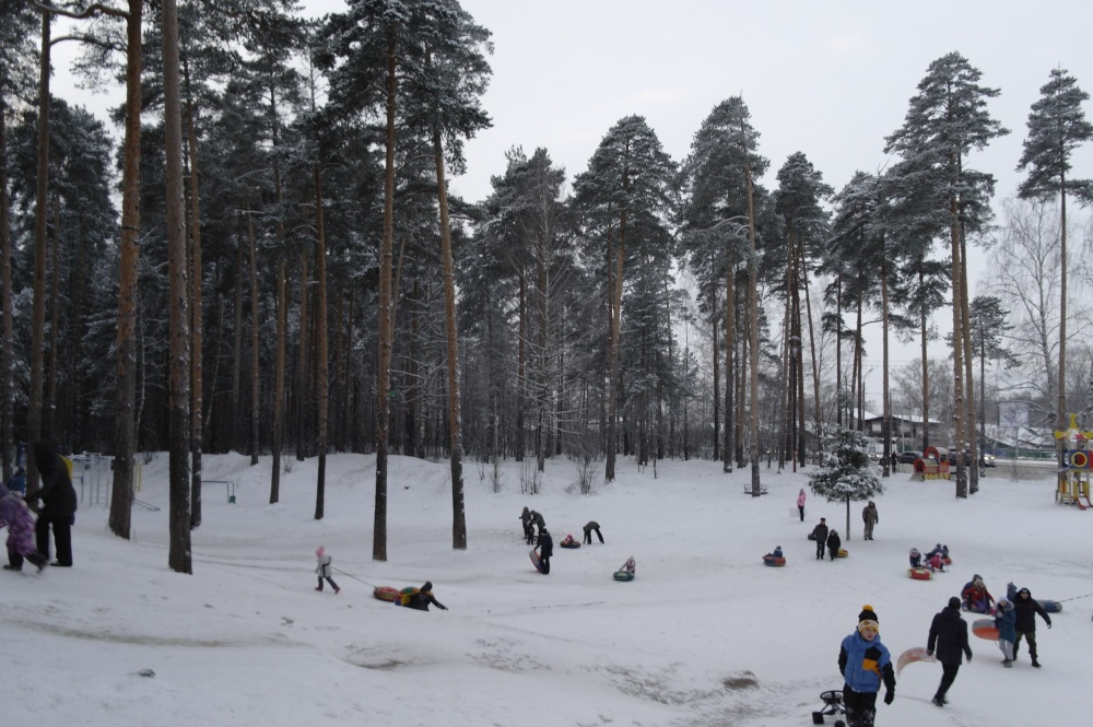 Не сидим дома: топ мест для активного зимнего отдыха в Ярославле