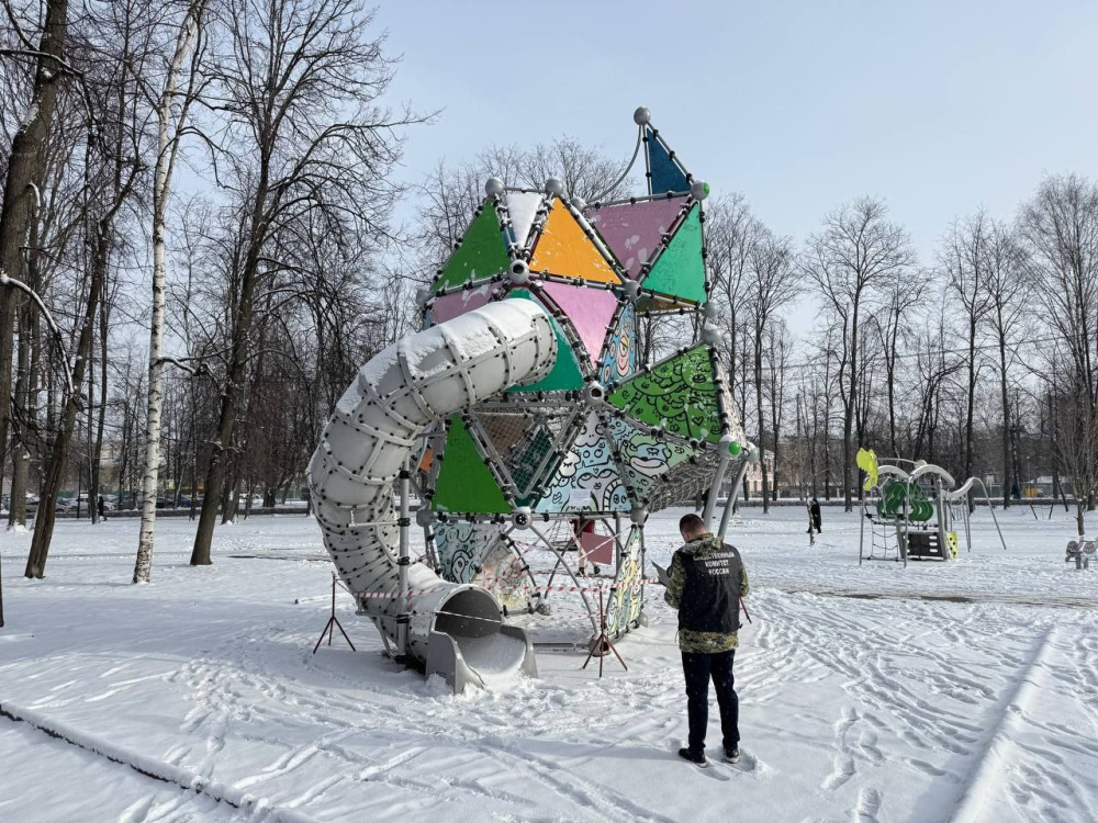 По факту травмирования ребёнка в ярославском парке возбудили уголовное дело