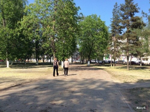 Власти Ярославля отказались согласовать митинги против объединения больниц, сославшись на отсутствие подходящих площадок