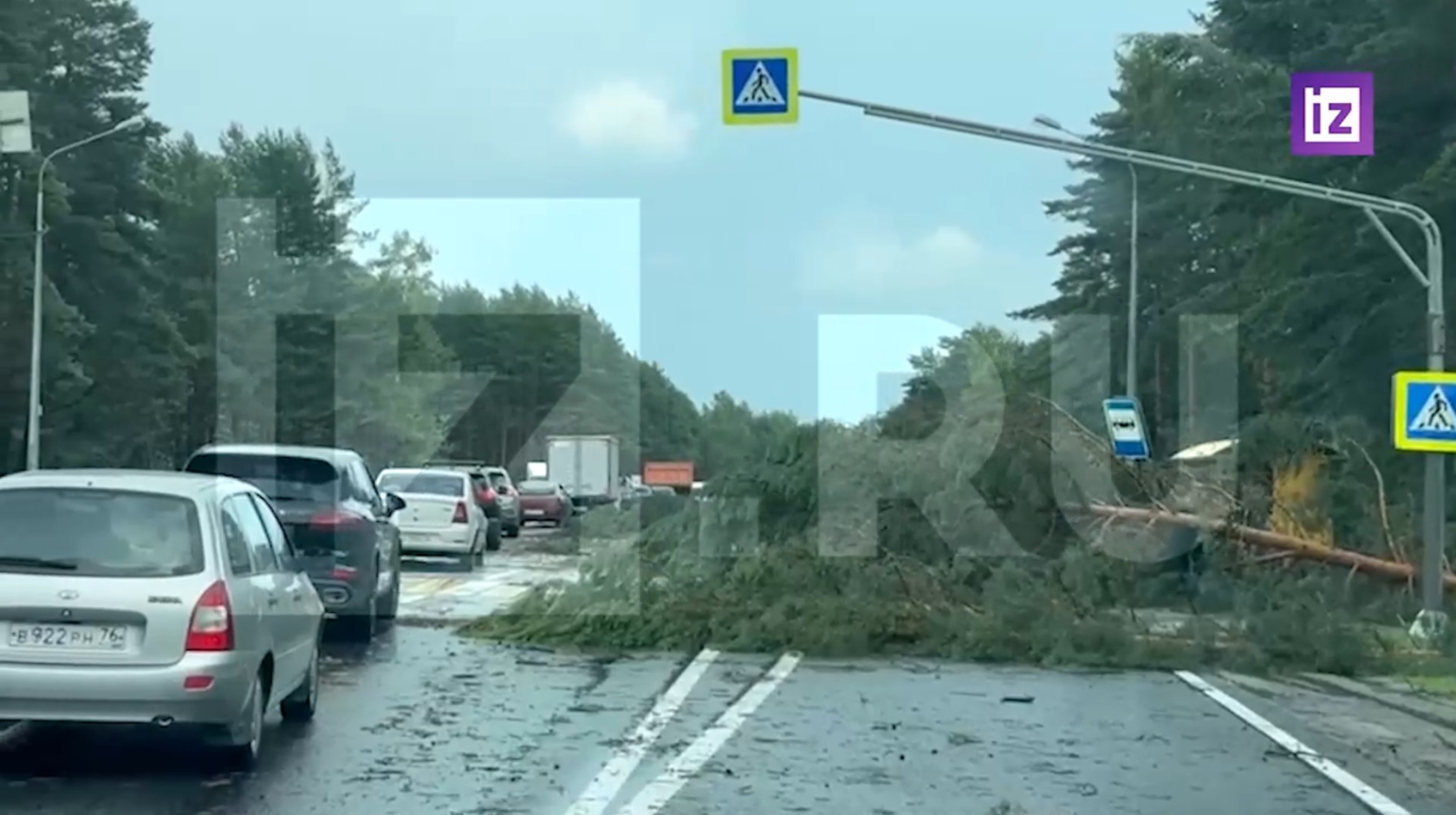 Автомобили в кювете и вырванные деревья: под Ярославлем разбушевался  сильный ураган вблизи аэропорта | 07.07.23 | Яркуб