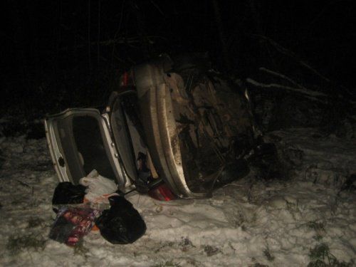 В Первомайском районе водитель автомобиля «Киа» сбил лося и погиб 