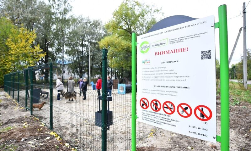 Самовыгул животных и неправильная парковка: в Ярославской области ввели новые штрафы