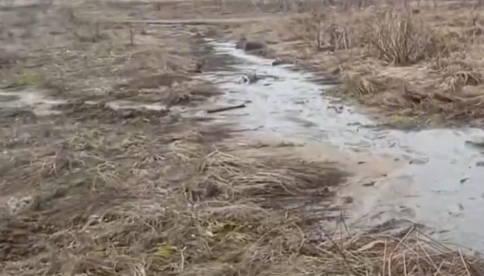 Вода может быть отравлена: в Ярославской области неочищенные канализационные отходы сливали в овраг