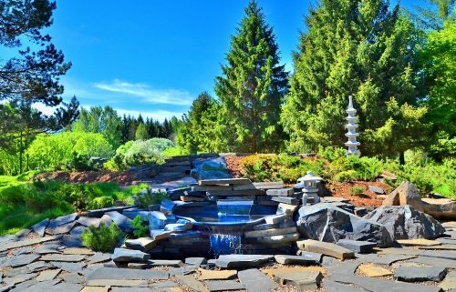 В Переславском дендрологическом саду открыли экспозицию «Японский сад». Она спроектирована в стиле японских чайных садов