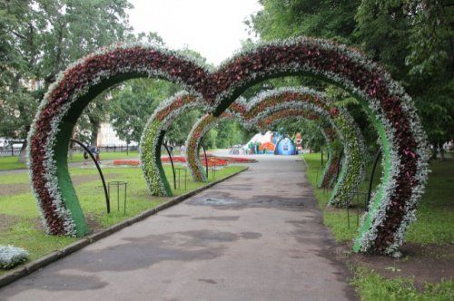В Ярославле на Первомайском бульваре появились цветочные композиции 