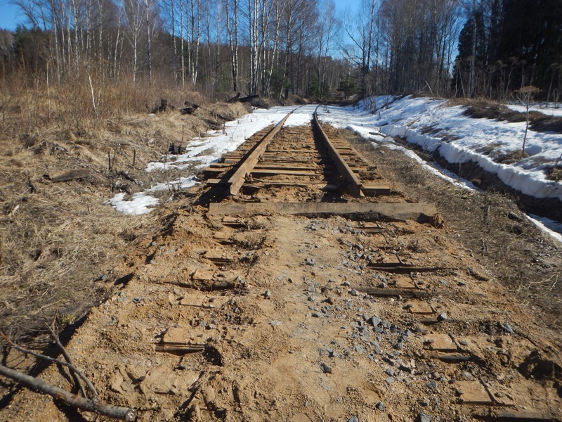 Под Ярославлем с железной дороги украли более 400 метров рельсов