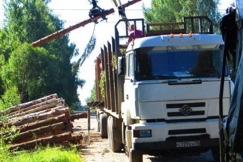 В Ярославском районе задержаны нарушители лесного законодательства