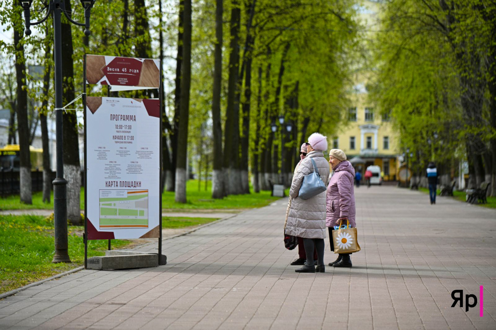 Весна «сломалась»: в Ярославской области после Дня Победы ждут новую волну холода