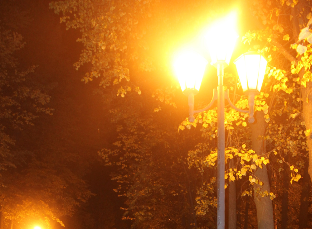 На улице в Заволжском районе Ярославля обязали обустроить освещение