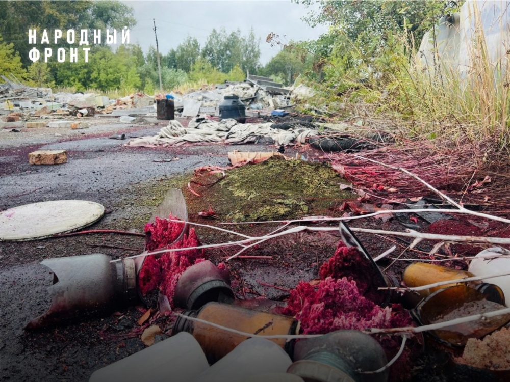 «Масштабы экологического ущерба сложно представить»: под Ярославлем обнаружили свалку токсичных отходов