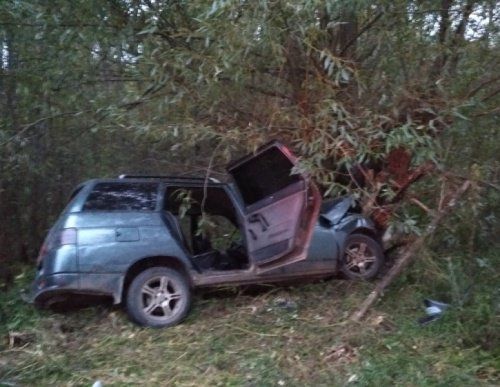 В Угличском районе отечественный автомобиль угодил в кювет: погибли два человека 