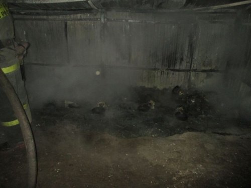 За неделю в Ярославле произошло четыре пожара на мусорных площадках