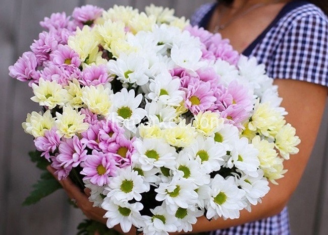 Маркетплейсы как удобные площадки для покупки цветов