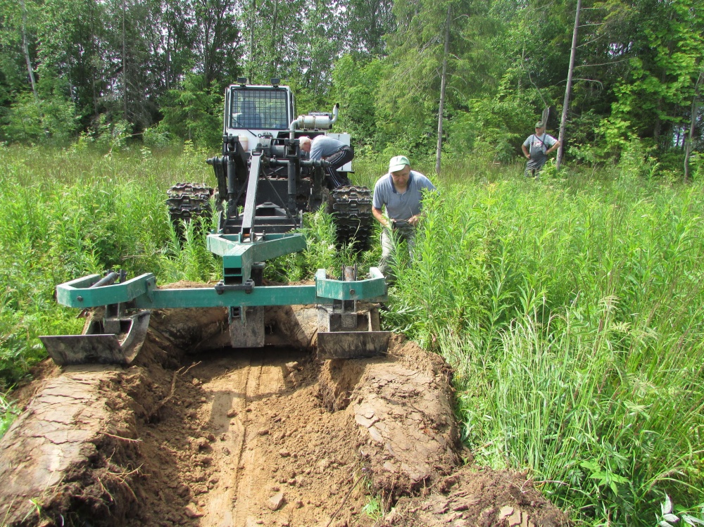 В Ярославской области подготовили почву под искусственное лесовосстановление