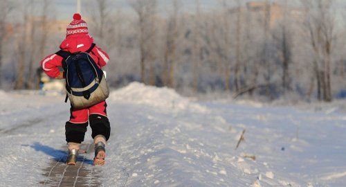 Занятия в школах Ярославля не отменят из-за морозов