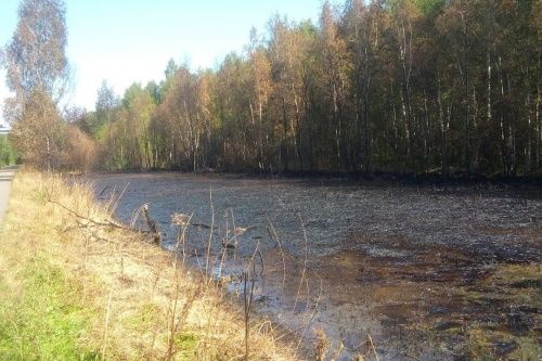 Подробности экологического ЧП в Ярославле. Нефть залила четыре тысячи квадратных метров