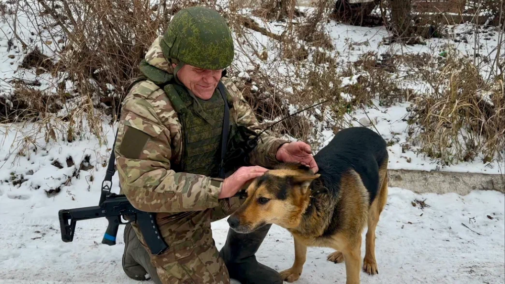 Лежал и умирал: боец из Ярославской области спас раненую овчарку