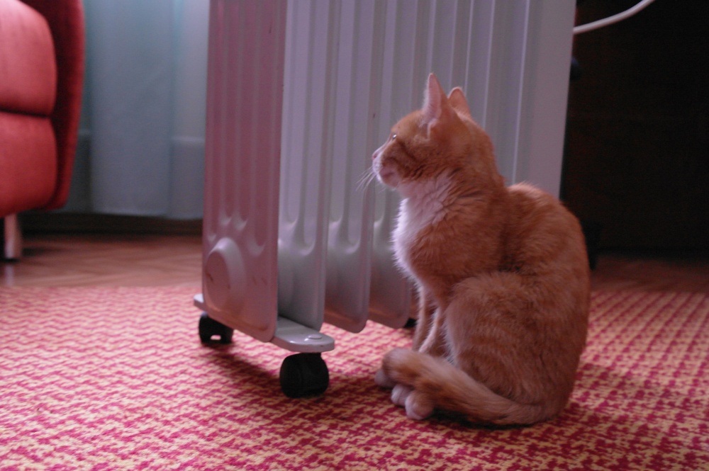 Замерзающим в квартирах ярославцам ответили, когда дадут отопление