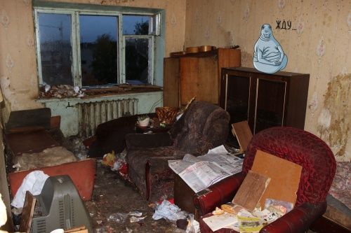 В Ярославле асоциальная пенсионерка превратила квартиру в рассадник тараканов и хранилище хлама