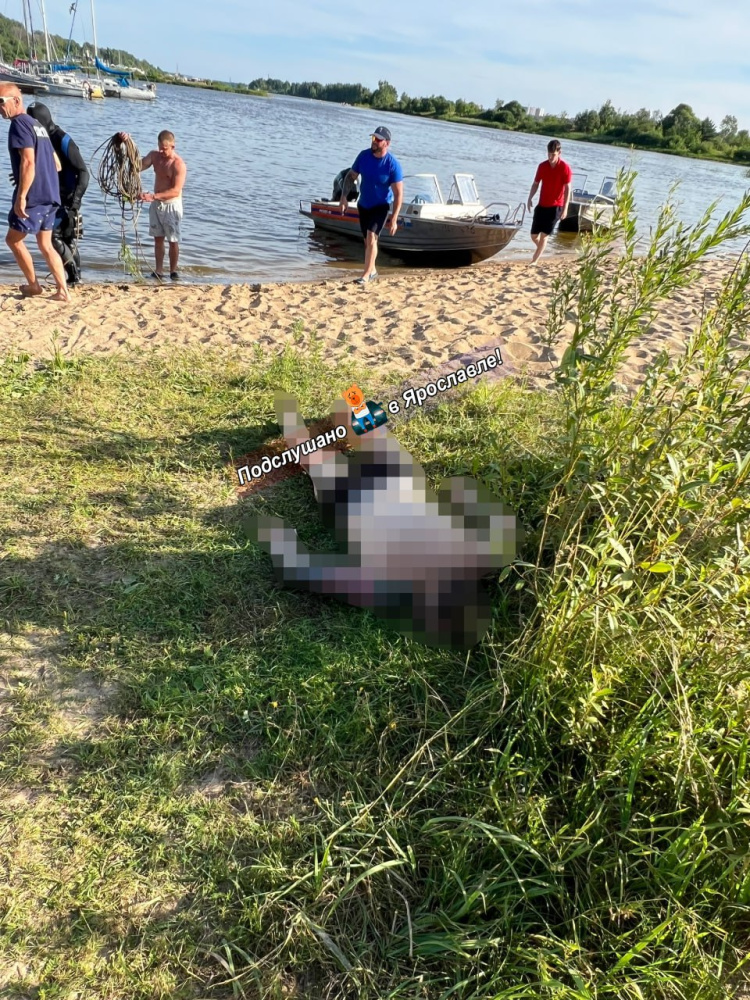На Волге в Ярославле утонул мужчина