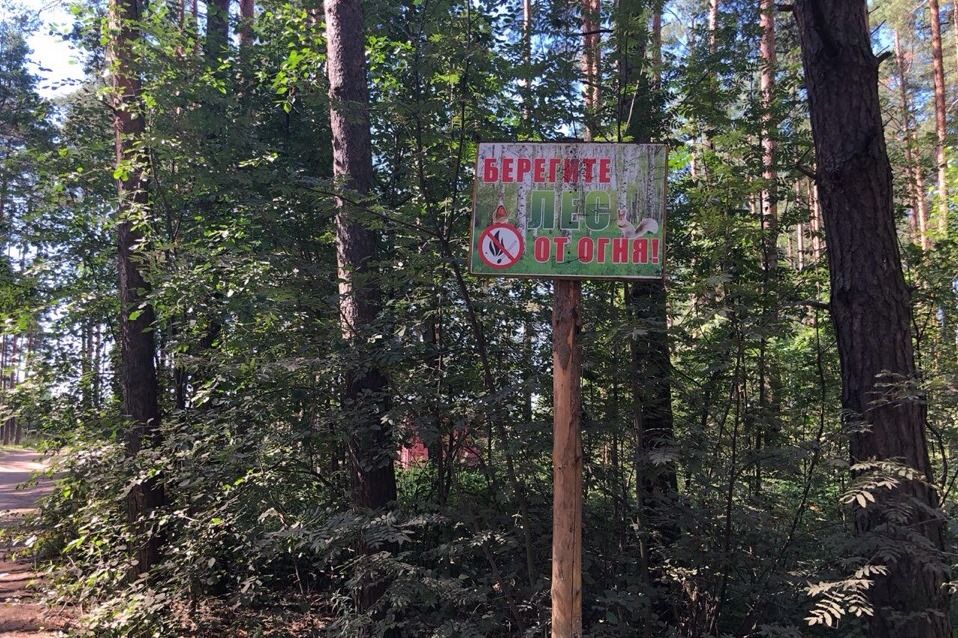 аншлаги противопожарные в лесу фото