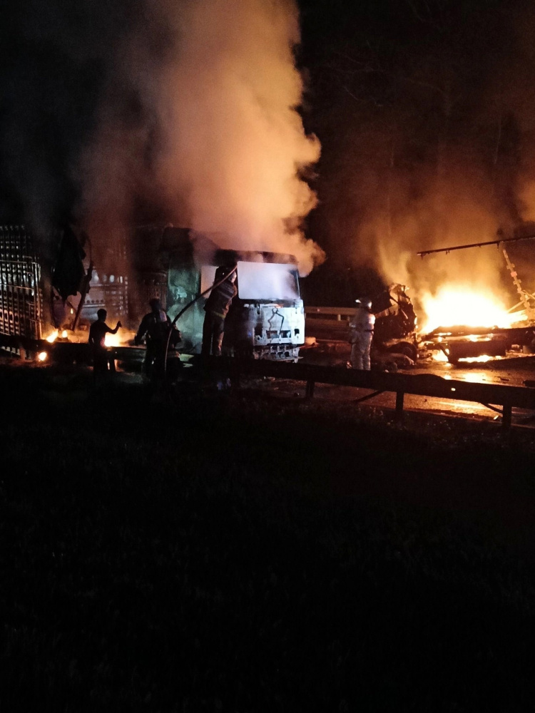 В Ярославской области на М-8 после столкновения с лосем сгорели два грузовика