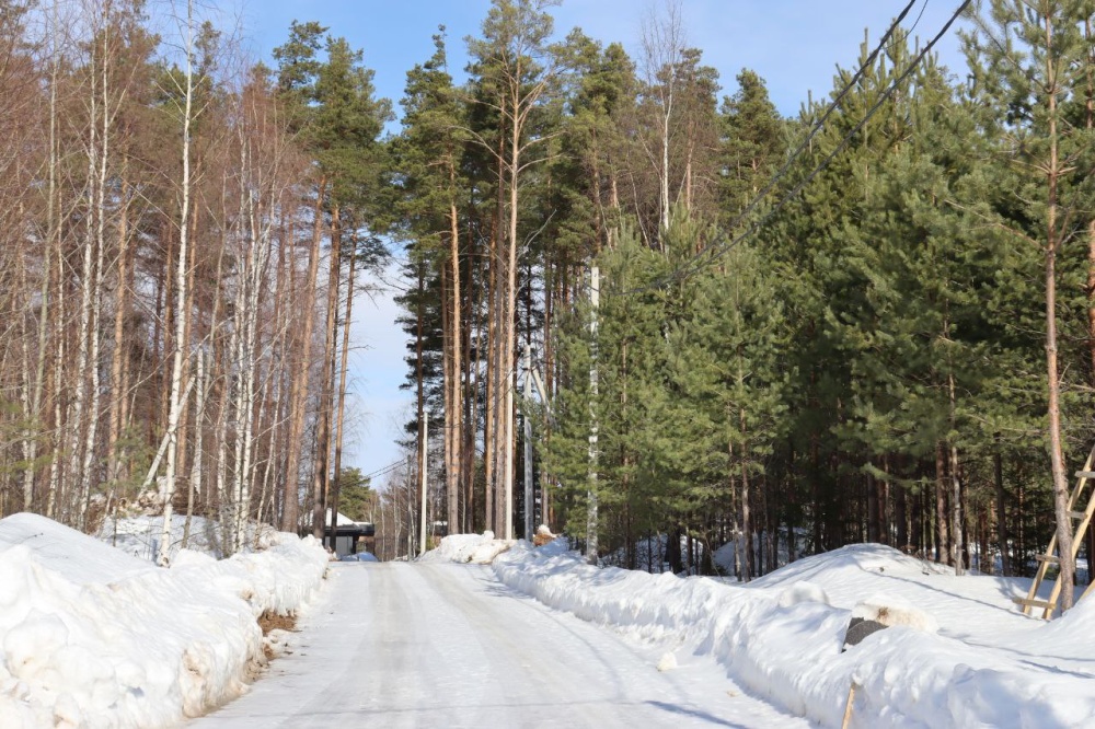 На Прусовских карьерах в Ярославле обнаружили незаконную вырубку леса