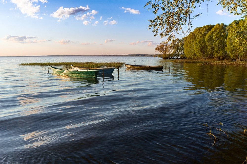 В Ярославской области разгорелся спор из-за побережья Плещеева озера