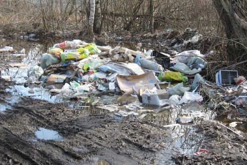 100 миллионов из московской «компенсации за мусор» Правительство Ярославской области хочет потратить на ликвидацию свалок