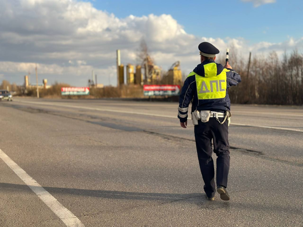 В Ярославской области полицейские помогли многодетной семье, оказавшейся в сложной ситуации на дороге