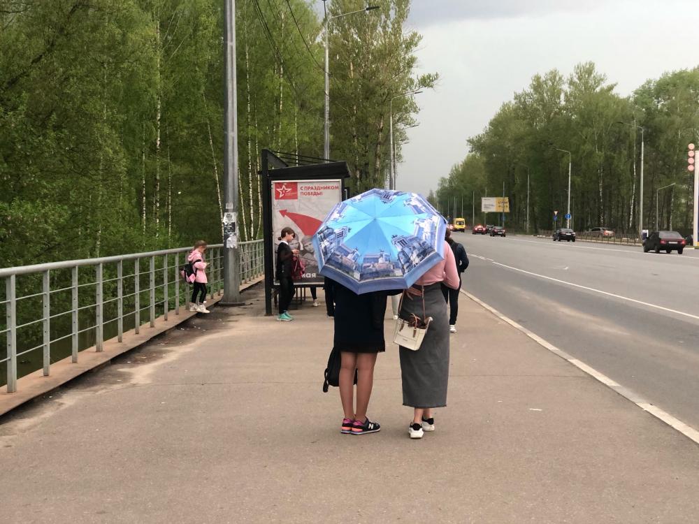 Грозы и штормовой ветер в Ярославле: экстреннее предупреждение от МЧС