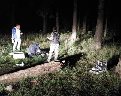 В Ярославле в лесополосе насмерть забили мужчину
