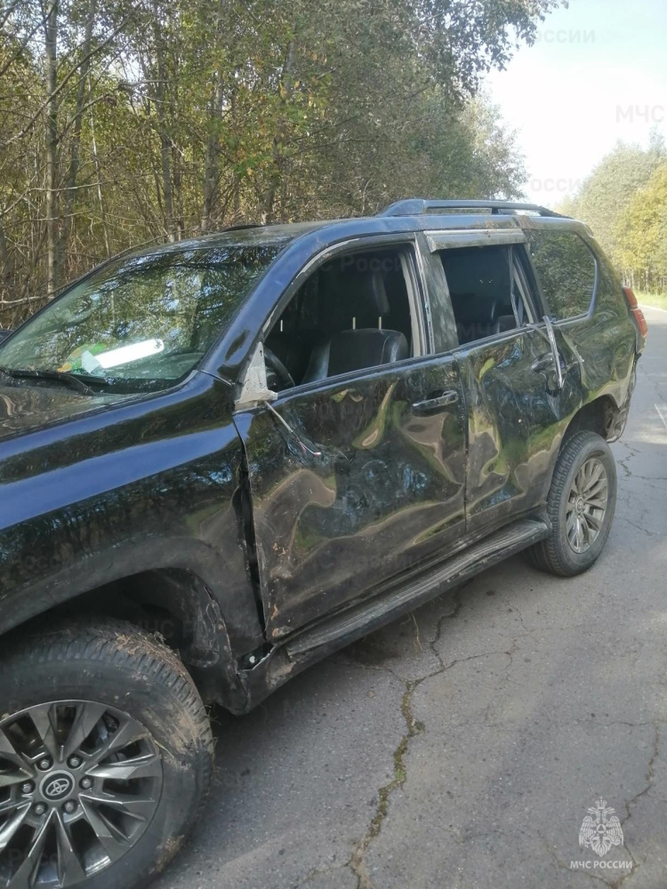 Женщина погибла, мужчина в больнице: в Ярославской области водитель внедорожника сбил двух грибников