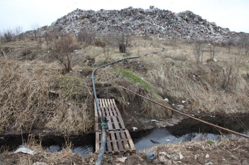 Специалисты не нашли изменений в состоянии экологии «Скоково» после нескольких дней ввоза московского мусора