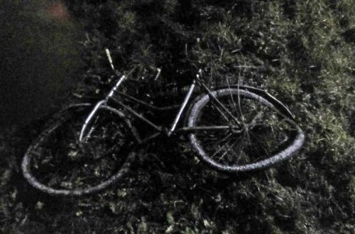 В Ярославской области от травм скончался велосипедист