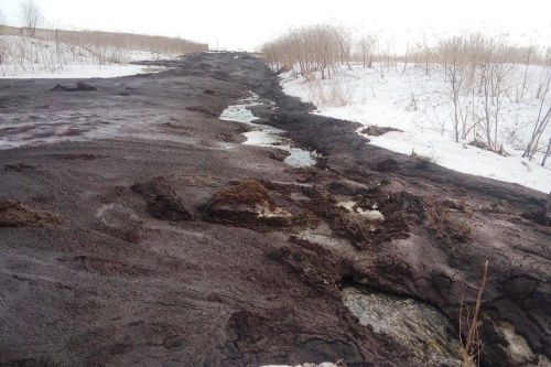 Утечка с птицефабрики в Тутаевском районе нанесла реке Ковать миллионный ущерб