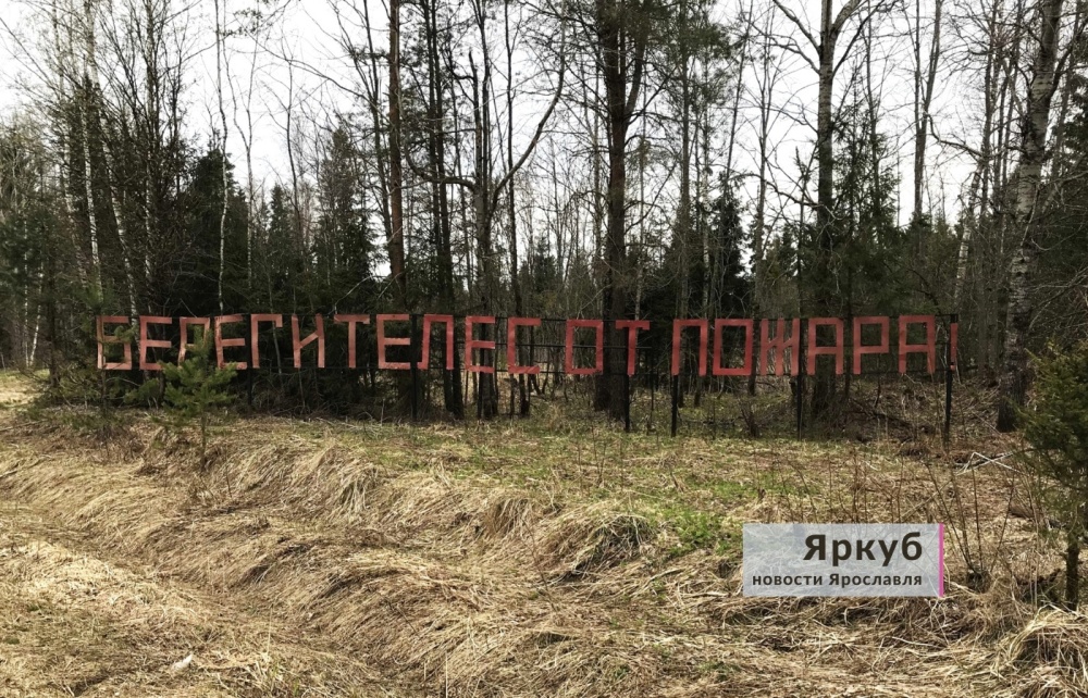 Будьте осторожны! В Ярославской области продлили особый противопожарный режим