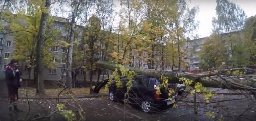 Спасатели Центра гражданской защиты Ярославля убрали дерево, упавшее на «Черри». Видео
