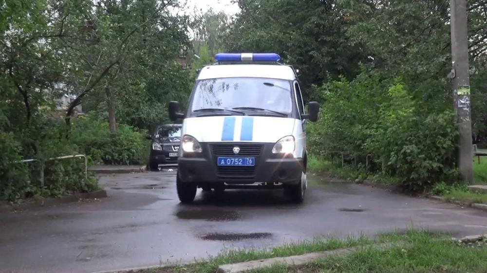 В Ярославской области полицейские из незаконного оборота изъяли более 24 килограммов наркотиков