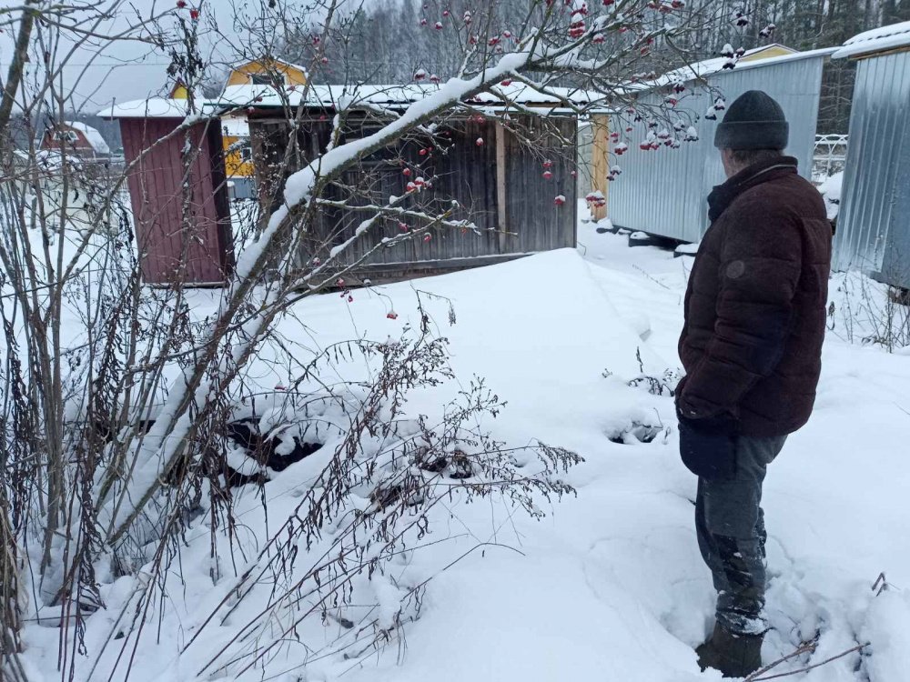 Закопал труп на даче: жестокое убийство раскрыли следователи из Рыбинска