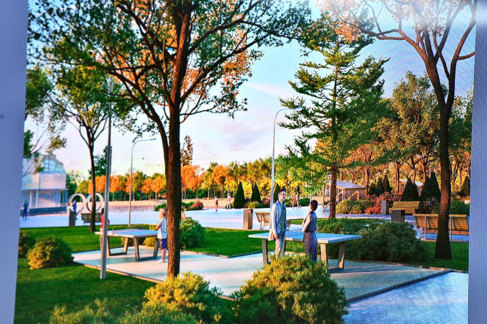 Берега прудов в парке 30-летия Победы в Ярославле покроют деревянными настилами