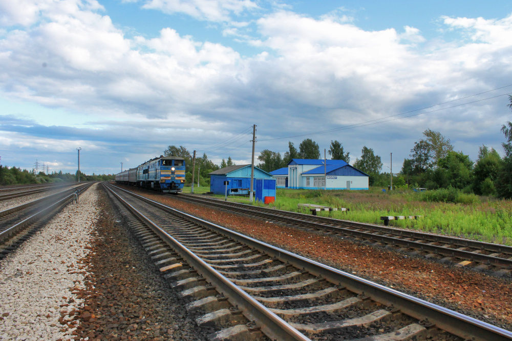 На окраине Дзержинского района Ярославля молодая женщина угодила под поезд