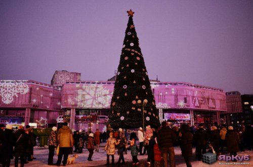 В Ярославле установят более двадцати новогодних елей