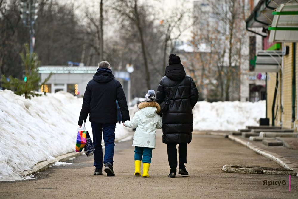 В Ярославской области расширят категорию многодетных семей