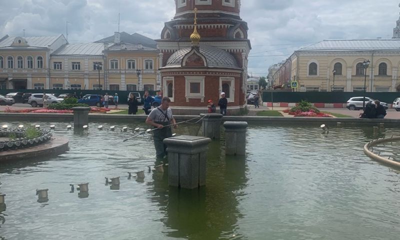 В Ярославле в центре города специалисты спасли утят из фонтана