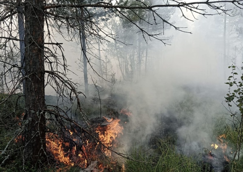 В Ярославской области загорелся торфяник