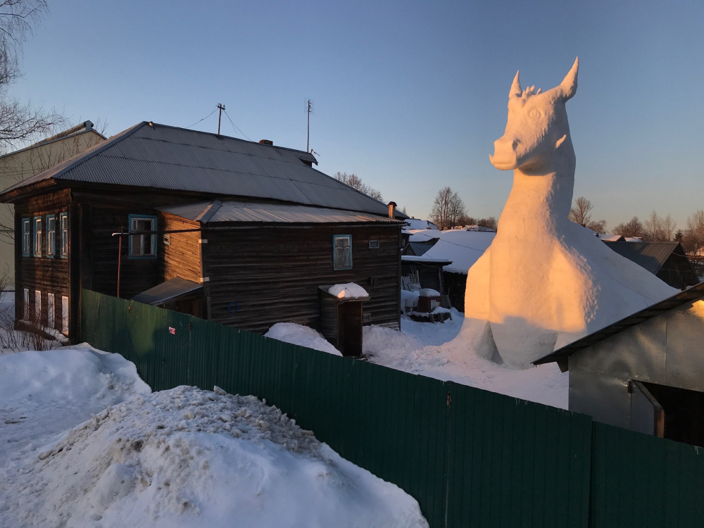 В Ярославской области заметили огромного дракона