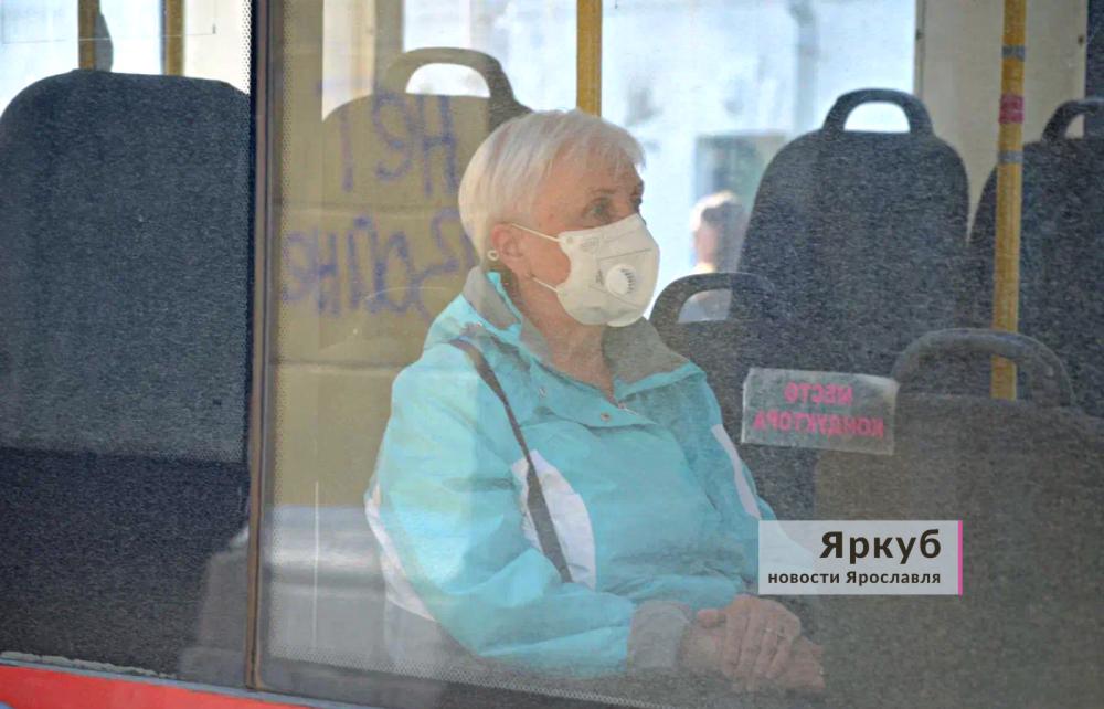 «Повезет — не повезет»: ярославцы жалуются на работу питерского перевозчика